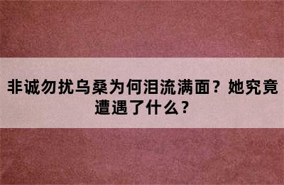 非诚勿扰乌桑为何泪流满面？她究竟遭遇了什么？