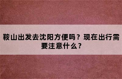 鞍山出发去沈阳方便吗？现在出行需要注意什么？