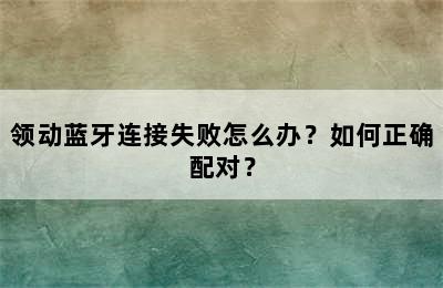 领动蓝牙连接失败怎么办？如何正确配对？