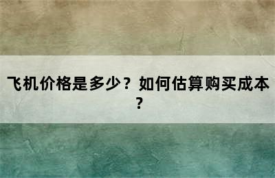 飞机价格是多少？如何估算购买成本？