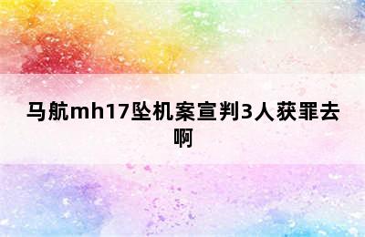 马航mh17坠机案宣判3人获罪去啊