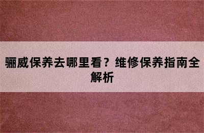 骊威保养去哪里看？维修保养指南全解析