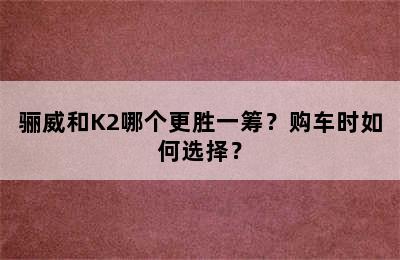 骊威和K2哪个更胜一筹？购车时如何选择？