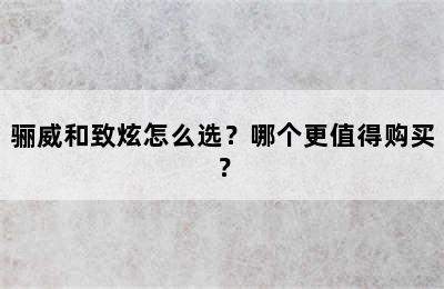 骊威和致炫怎么选？哪个更值得购买？