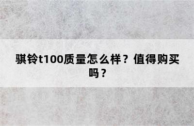 骐铃t100质量怎么样？值得购买吗？