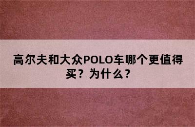 高尔夫和大众POLO车哪个更值得买？为什么？