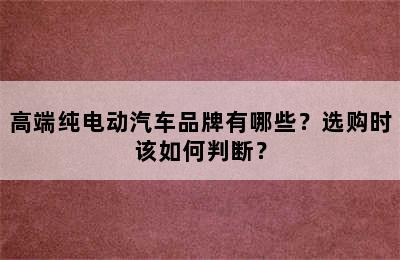 高端纯电动汽车品牌有哪些？选购时该如何判断？