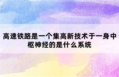 高速铁路是一个集高新技术于一身中枢神经的是什么系统