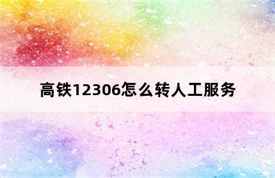 高铁12306怎么转人工服务