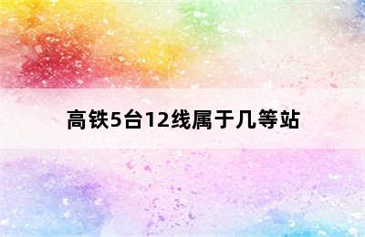 高铁5台12线属于几等站