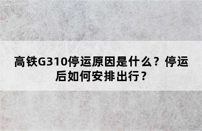 高铁G310停运原因是什么？停运后如何安排出行？