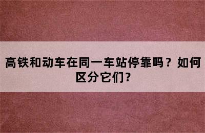 高铁和动车在同一车站停靠吗？如何区分它们？