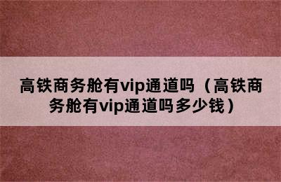 高铁商务舱有vip通道吗（高铁商务舱有vip通道吗多少钱）