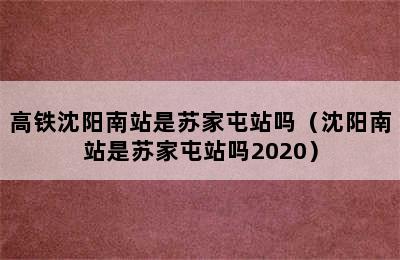 高铁沈阳南站是苏家屯站吗（沈阳南站是苏家屯站吗2020）