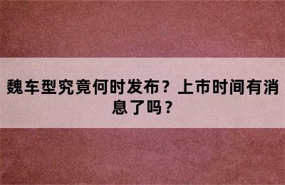 魏车型究竟何时发布？上市时间有消息了吗？