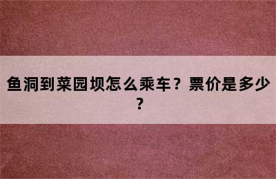 鱼洞到菜园坝怎么乘车？票价是多少？