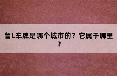 鲁L车牌是哪个城市的？它属于哪里？