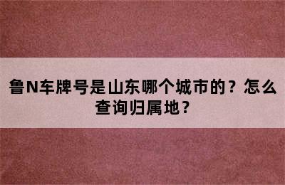 鲁N车牌号是山东哪个城市的？怎么查询归属地？