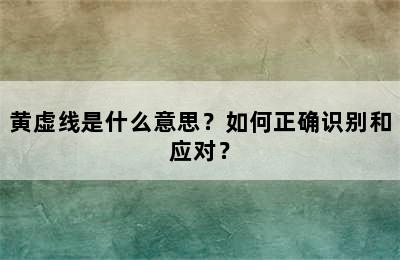 黄虚线是什么意思？如何正确识别和应对？