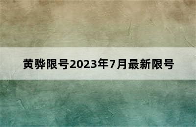 黄骅限号2023年7月最新限号