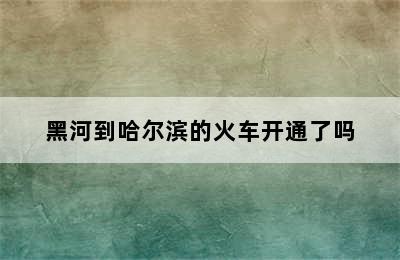 黑河到哈尔滨的火车开通了吗