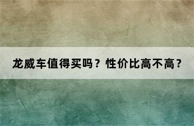 龙威车值得买吗？性价比高不高？